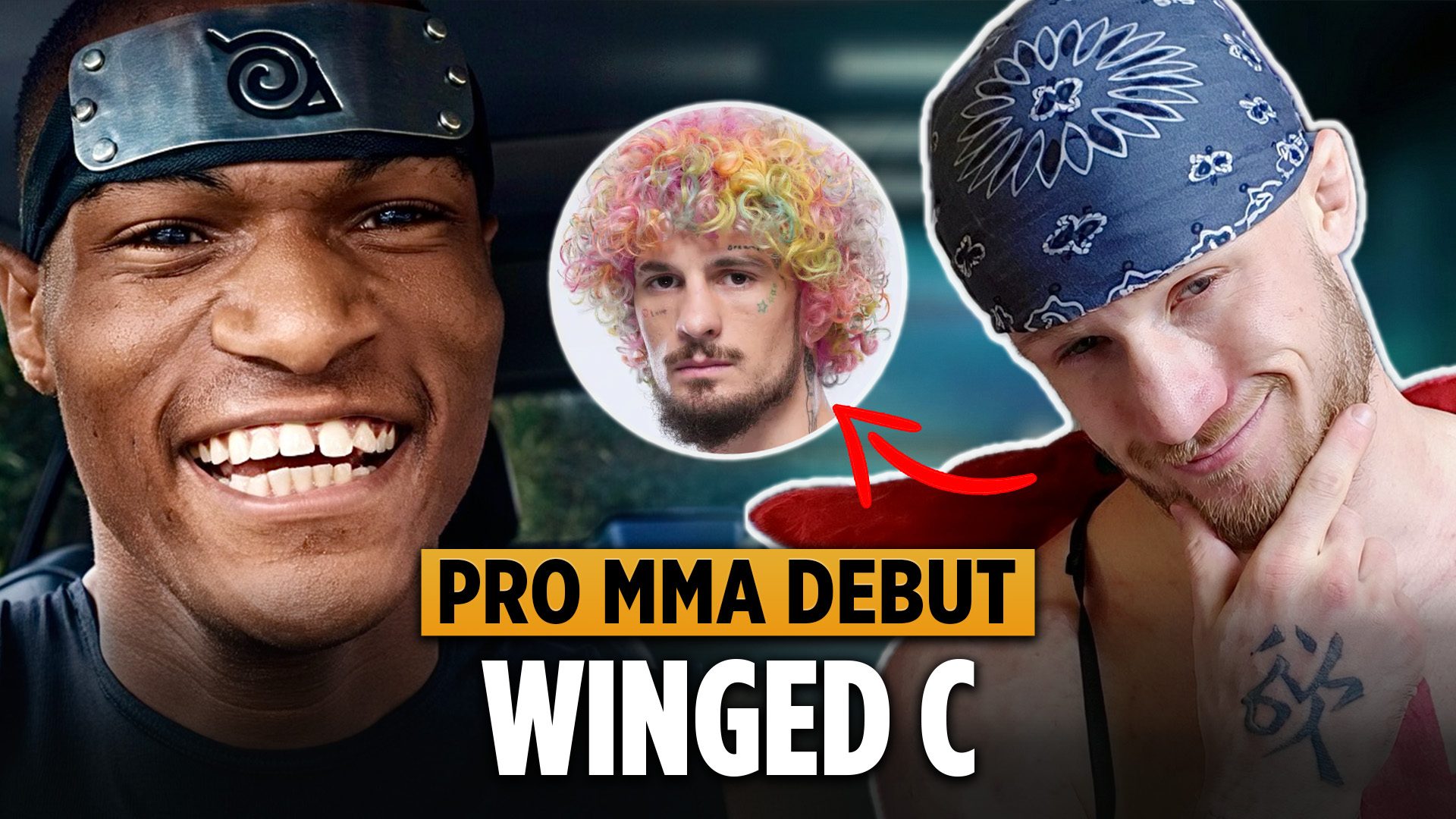 WINGED C Battling 