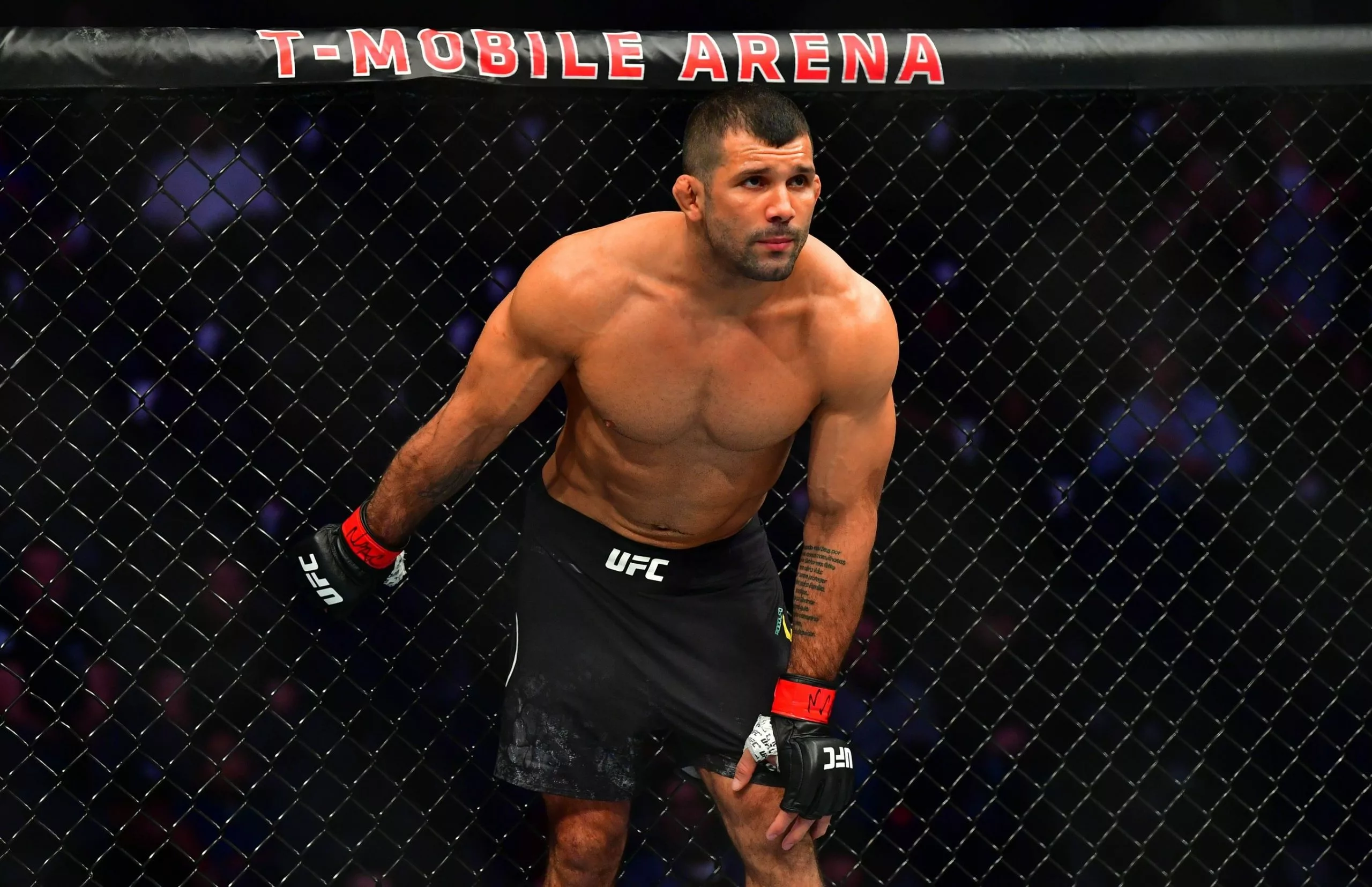 Can Rodolfo Vieira get back in the win column at UFC Vegas 116? Which other prospects should we watch intently?